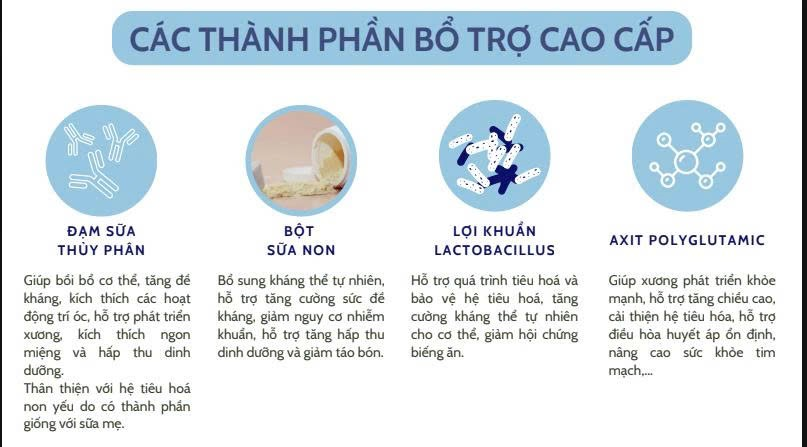 Các thành phần bổ trợ cao cấp